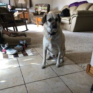 Meet your Posher, Ryan